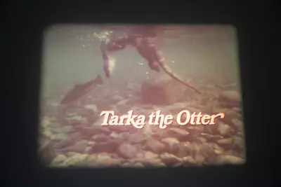 Tarka The Otter - Super 8 / 8mm Film - 400ft Colour Sound - Walton Films • £19.95