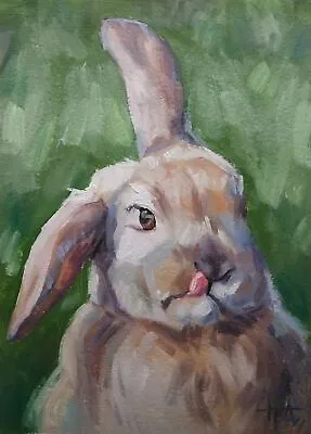 Original Oil Painting Portrait Of A Rabbit 7x5 Inches Animal Painting • $64.15