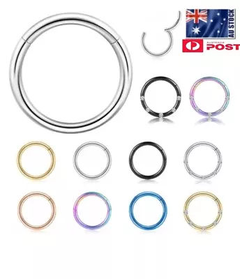 Surgical Steel Hinged Segment Hoop Ring Sleeper Lip Ear Nose Body Piercing 1PC • $2.90