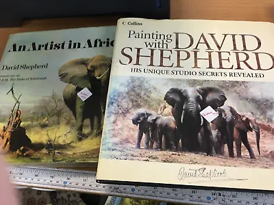 Painting With David Shepherd An Artist In Africa • £7.50
