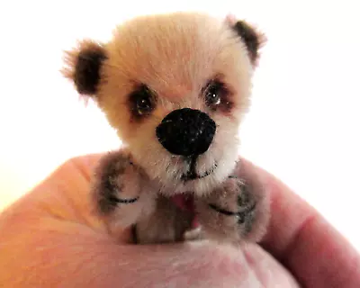 Ro-Si: OOAK Miniature Panda Bear (Gardener) - 5cm (2.5 ) Seated: A Starlite Bear • £12.99