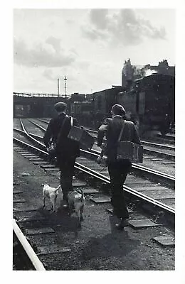 £1.97 • Buy Nostalgia Postcard Rat Catchers On The LMS Railway Reproduction Card NS29