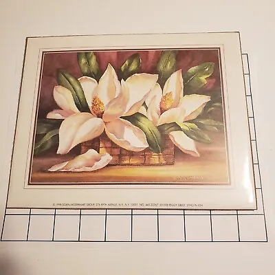 MAGNOLIA FLOWER PICTURE ART PRINT 8 X 10 Peggy Thatch Sibley 1998 WAOW • $14.25