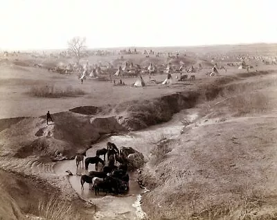 Native American Lakota Indians Camp 10x8 Photo Art Print Picture  • £4.50