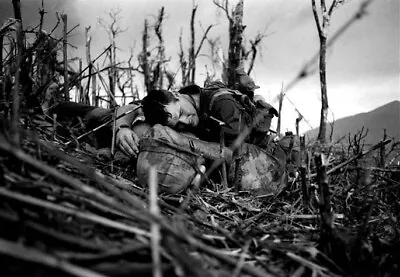 Vietnam War Photo US Army Soldier Checks For Pulse Hill 881  Militaria / 8259 • $6.49