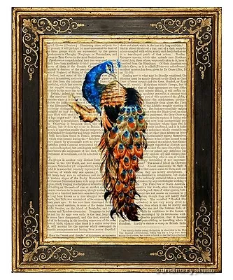 Peacock #4 Art Print On Vintage Book Page Home Office Wall Hanging Decor Gifts • $13.99