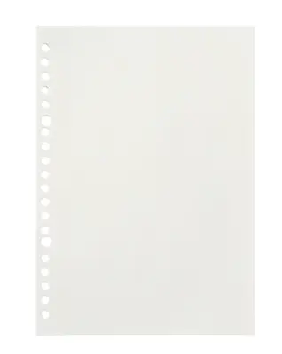 MUJI Loose Leaf Papers Refill Dotted Grid A5 20 Holes 30 Sheets Made In Japan • $9.99