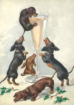 Dachshund Charming Dog Christmas Note Card Naughty Dogs With Glass Of Champagne • $3.11