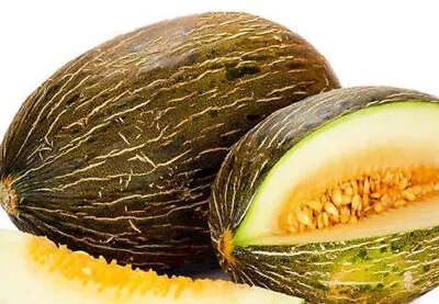 Piel De Sapo Melon Seeds | NON-GMO | Heirloom | Fresh Garden Seeds • $32