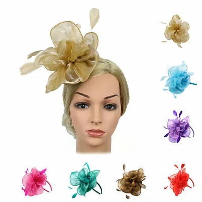 $13.99 • Buy Prettyia Vintage Wedding Ascot Races Feather Mesh Fascinator Side Hat Headband