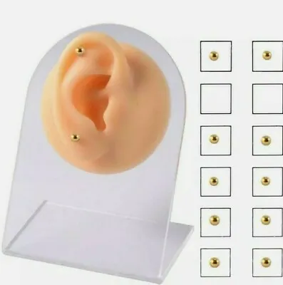 12 Pcs GOLD TONE Nose Ring Magnetic Fake Ear Stud Earrings Nose/Lip  • $7.99