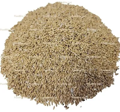 PLAIN CANARY - (350g To 20kg) - Bucktons Aviary Bird Seed Bp Pet Feed Vf Food • £1.09