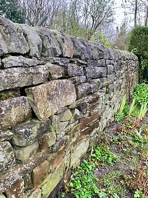 Dry Stone Walling Stone. Original In-situ From 1900s. Includes Cap Stones. • £100