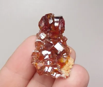 VANADINITE Beautiful RED Lustrous Crystals ! MOROCCO Mibladen /pi795 • $14.99