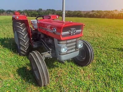 MASSEY FERGUSON 135 2wd Tractor Immaculate Example! • £9750