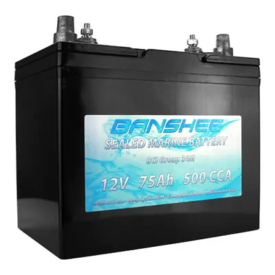 Banshee Marine Starting/Deep Cycle Dual Terminal Sealed AGM Battery Bci No. 34 • $199.88