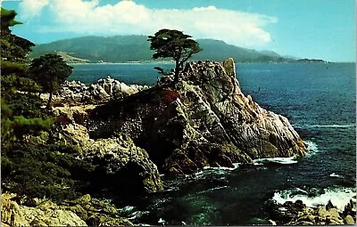 Midway Point Monterey Peninsula California CA Postcard UNP VTG Curteich Unused • $3