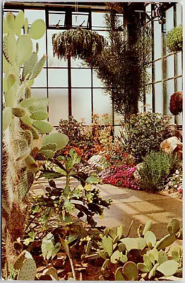 Longwood Gardens Kennett Square Pennsylvania Succulent House Cactus VTG Postcard • $3.86