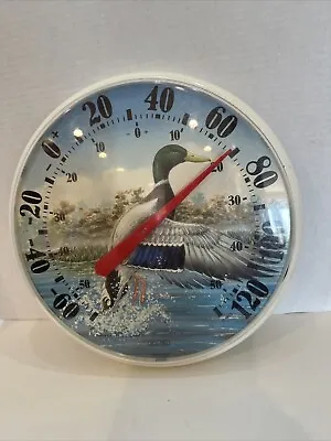 Vintage Acu-rite Duck Theme Plastic Thermometer Chaney Instrument U.S.A. • $89.95