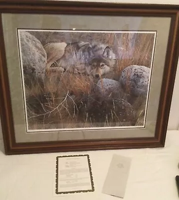 One-To-One Gray Wolf By Carl Brenders Signed Print4424/10000 Frame NOT Included • $195