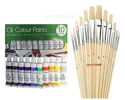 12 PC ASSORTED WOODEN HANDLE ARTIST's BRUSHES + 8 TUBES OIL PAINT SET NEW • £6.99