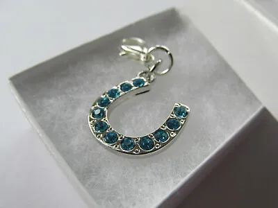 £4.95 • Buy Perfect Wedding Gift For The Bride Something Blue Lucky Crystal Horseshoe Charm