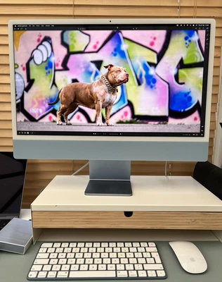 £935 • Buy Apple IMac 24  (256GB SSD, Apple M1, 3.20GHz, 8GB, 7-Core GPU) Blue -...