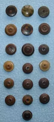 19 Vintage Buttons VEGETABLE IVORY TAGUA NUT  Whistle Tops Browns Tans Plaid ECU • $4
