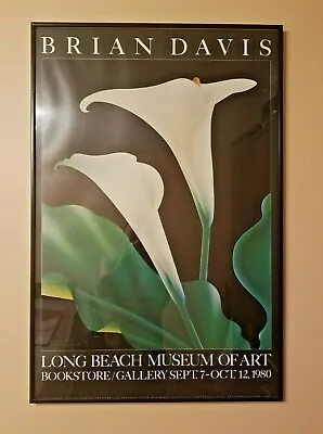 Vintage 1980 Brian Davis  Print  Calla I  Long Beach Museum Exhibition SIGNED • $349.95