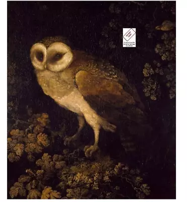 Antique Owl Painting Academia Moody Rustic Bird Print Vintage Fine Art 314C • $9.95