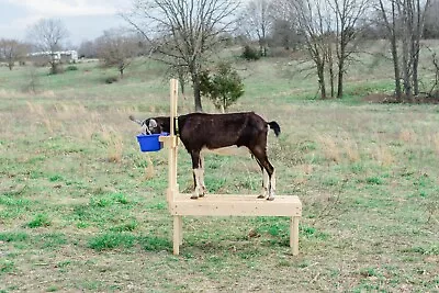 New Goatstand.com Carpenter Built Goat Milking Stand - Full 42in. Natural Deck • $165