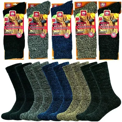 3-12 Pairs Mens Winter Merino Lambs Wool Heavy Duty Thermal Boots Socks 10-13 • $11.66