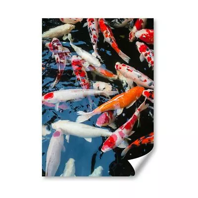 A4 - Koi Carp Pond Fish Japanese Poster 21X29.7cm280gsm #21766 • £4.99