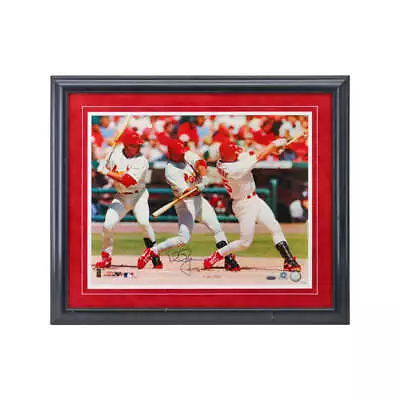 Mark McGwire St. Louis Cardinals Autographed Signed Framed 16x20 Photo (Steiner) • $139.99