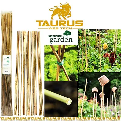 20 X Bamboo Canes Garden 120cm Strong Thick Plant 4FT Stick Support UK FREE P&P • £6.95