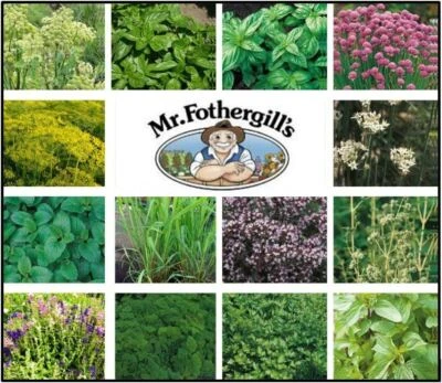 £1.99 • Buy Herb Seeds Collection Garden And Kitchen - Mr Fothergills  - FREE UK DELIVERY