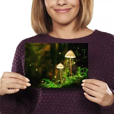 Art Print Poster Glowing Mushroom Magical Forest #51033 • £3.99