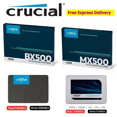 $619 • Buy Crucial SSD 240GB 480GB 1TB 2TB BX500 MX500 Solid State Drive 2.5  SATAIII MX500