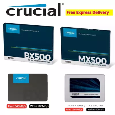 Crucial SSD 240GB 480GB 1TB 2TB BX500 MX500 Solid State Drive 2.5  SATAIII MX500 • $129