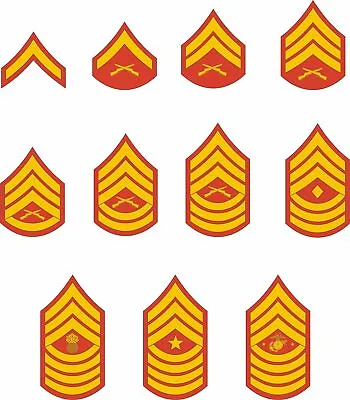Marine Corps Enlisted Rank Insignia Stickers • $5