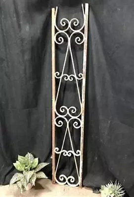 Wrought Iron Fence Panel Architectural Salvage Grate Garden Art Vintage A26 • $144