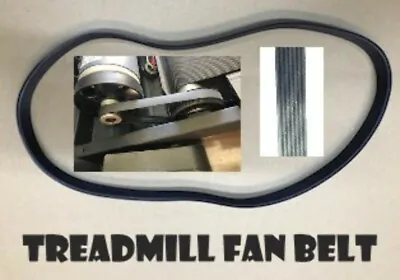 $54.80 • Buy Polyrib Drive Motor Fan Treadmill Belt 7-Rib For Lifespan Equaliser XL Treadmill