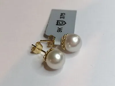375 9ct Gold Cultured South Sea Pearl Earrings Stud Boxed 993 • £219