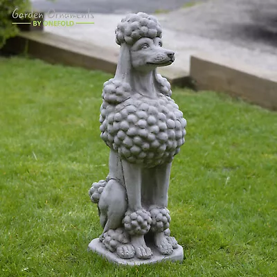 Life Size Poodle Hand Cast Stone Outdoor Garden Ornament Dog Statue Gift • £127.90