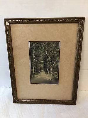 Rare Charles Sawyer Hand Colored Photo Up The Hill To Spring House In Old Frame  • $35