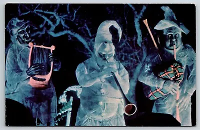 Postcard  The Haunted Mansion Walt Disney World Fl Clean Unposted • $4.68