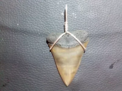 Perfect 2.0 Mako Sharks Tooth Pendant With Sterling Silver Hand Wrap • $23.99