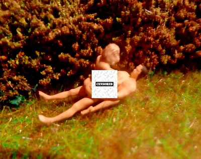 £3.70 • Buy ⭐ Blonde & A Bloke - Behind The Model Railway Scenery / Hedge 00 -  Gauge OO VGC