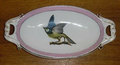 Antique C.T. Carl Tielsch Germany Porcelain Oval Relish Or Serving Bowl W/ Bird • $99.99