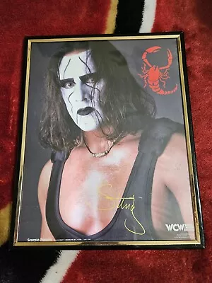 WWE World Championship Wrestling 1998 Vintage Sting Poster Framed • $20
